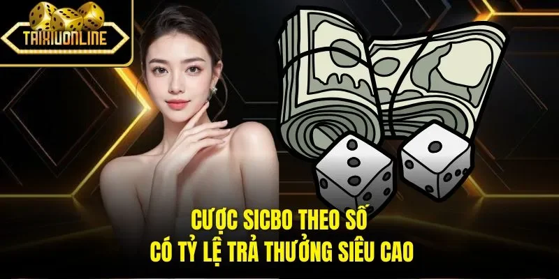 Cược chẵn lẻ là lựa chọn đơn giản khi trải nghiệm Sicbo
